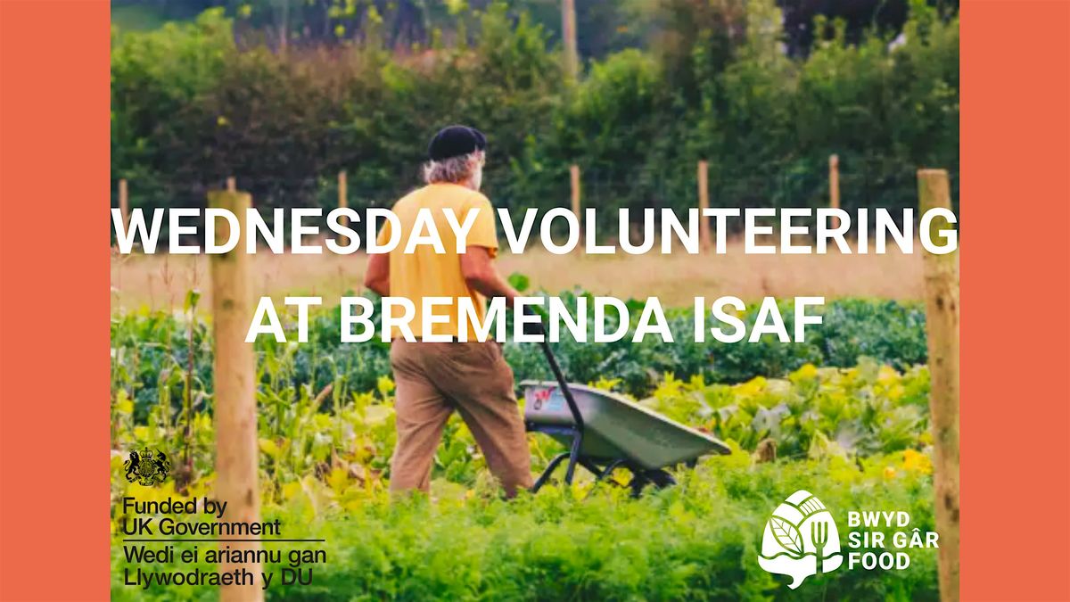 Gwirfoddoli dydd Mercher\/Wednesday Volunteering at Bremenda Isaf