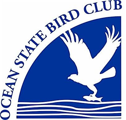 Brenton Point State Park Bird Walk