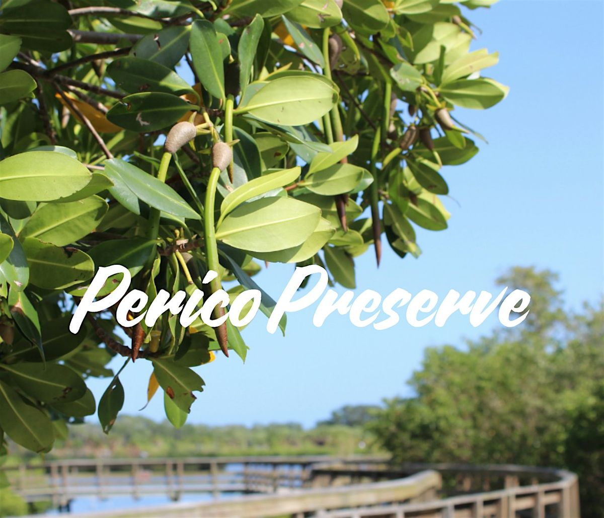 Perico Preserve Tour