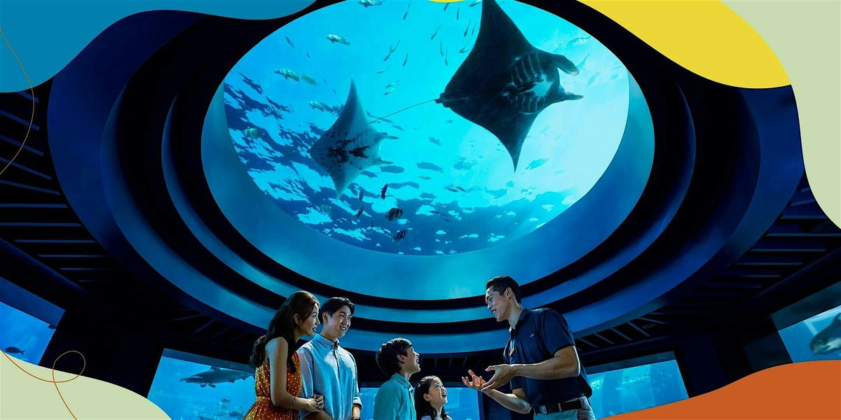 Blue Ocean, Green Actions