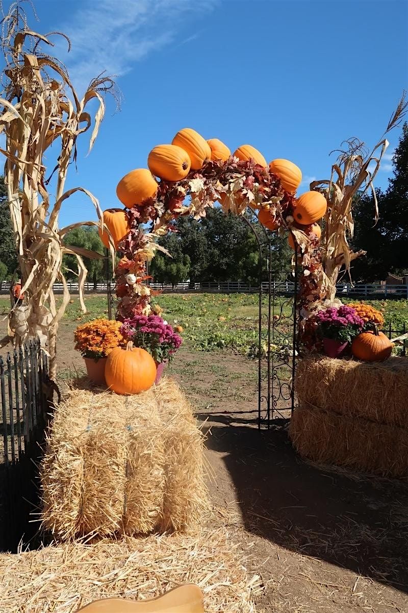 Mizel Family Foundation You Pick Pumpkins Days
