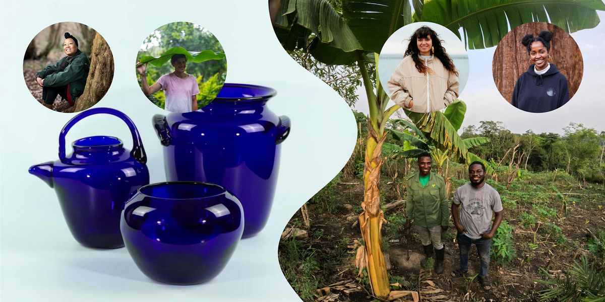 Materiality and Museum Extraction