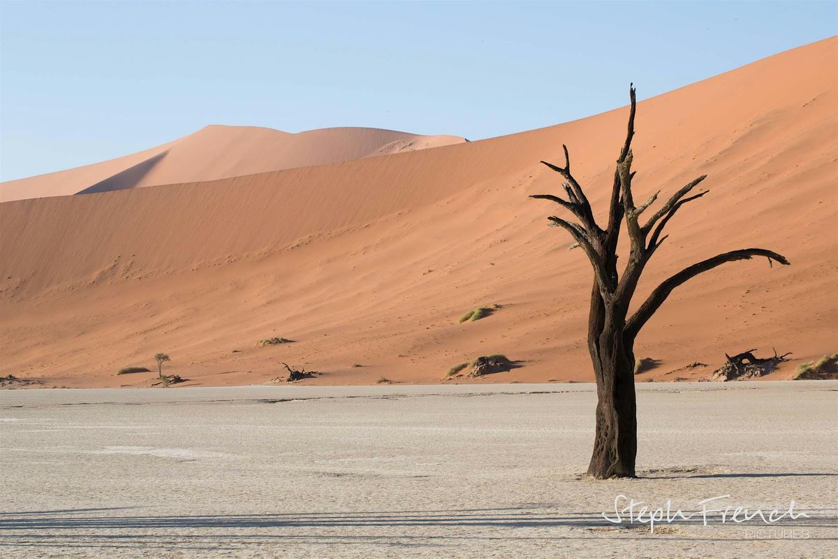 Burnout & Overwhelm: a systemic constellation approach