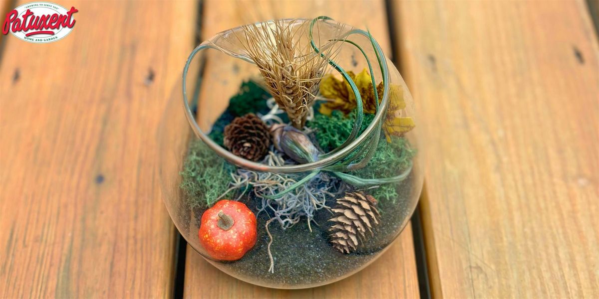 Fall Terrarium Workshop