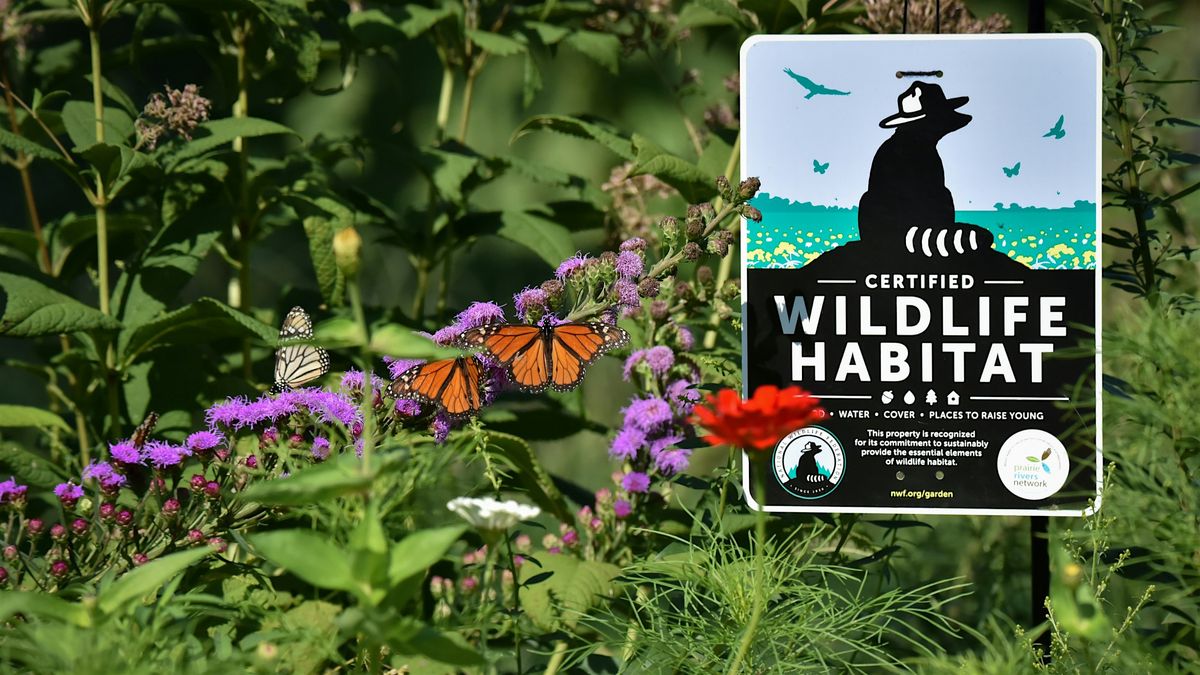 Gardening for Wildlife