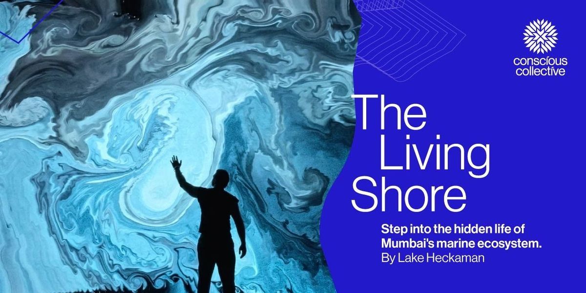 The Living Shore - An Immersive Experience