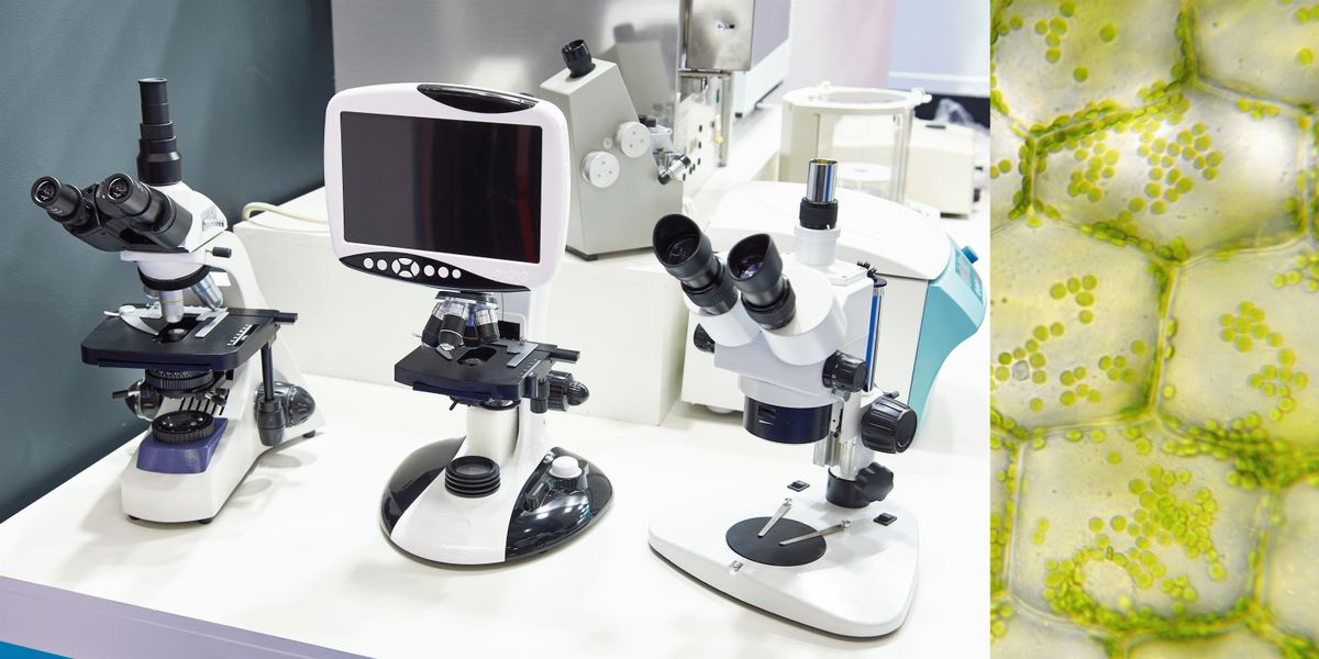 Homeschool Microscope Essentials