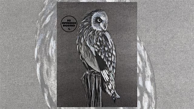 Charcoal Event "Owl" in Baraboo