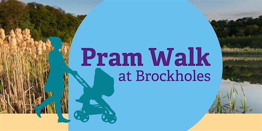Brockholes Pram Walk