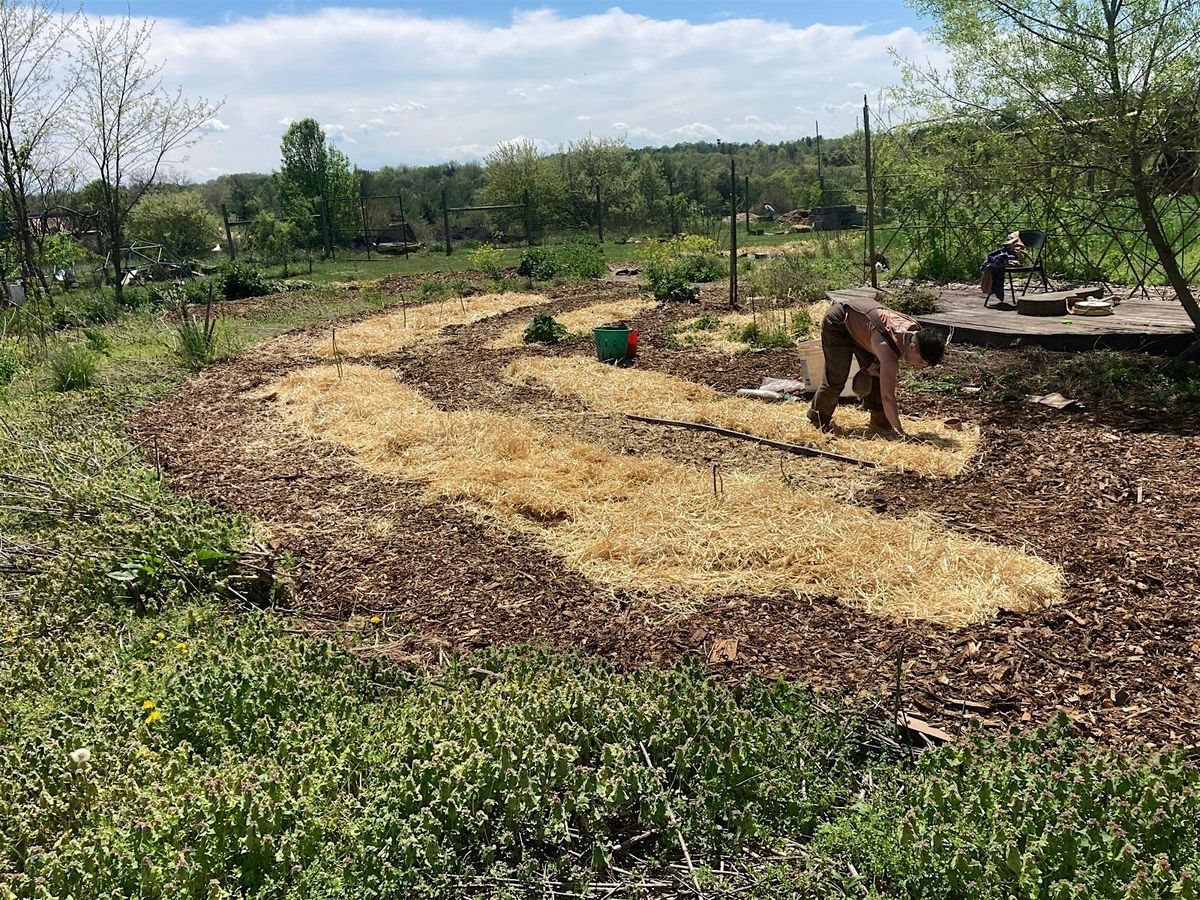 Community Garden Work Party