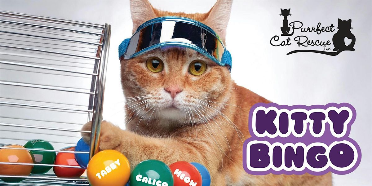 Kitty BINGO