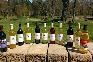 Prairie Hawk Winery: Paint and Sip