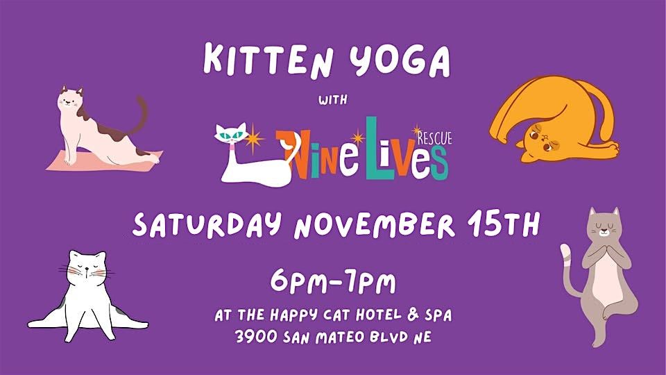 Cat Yoga at Happy Cat Hotel and Spa