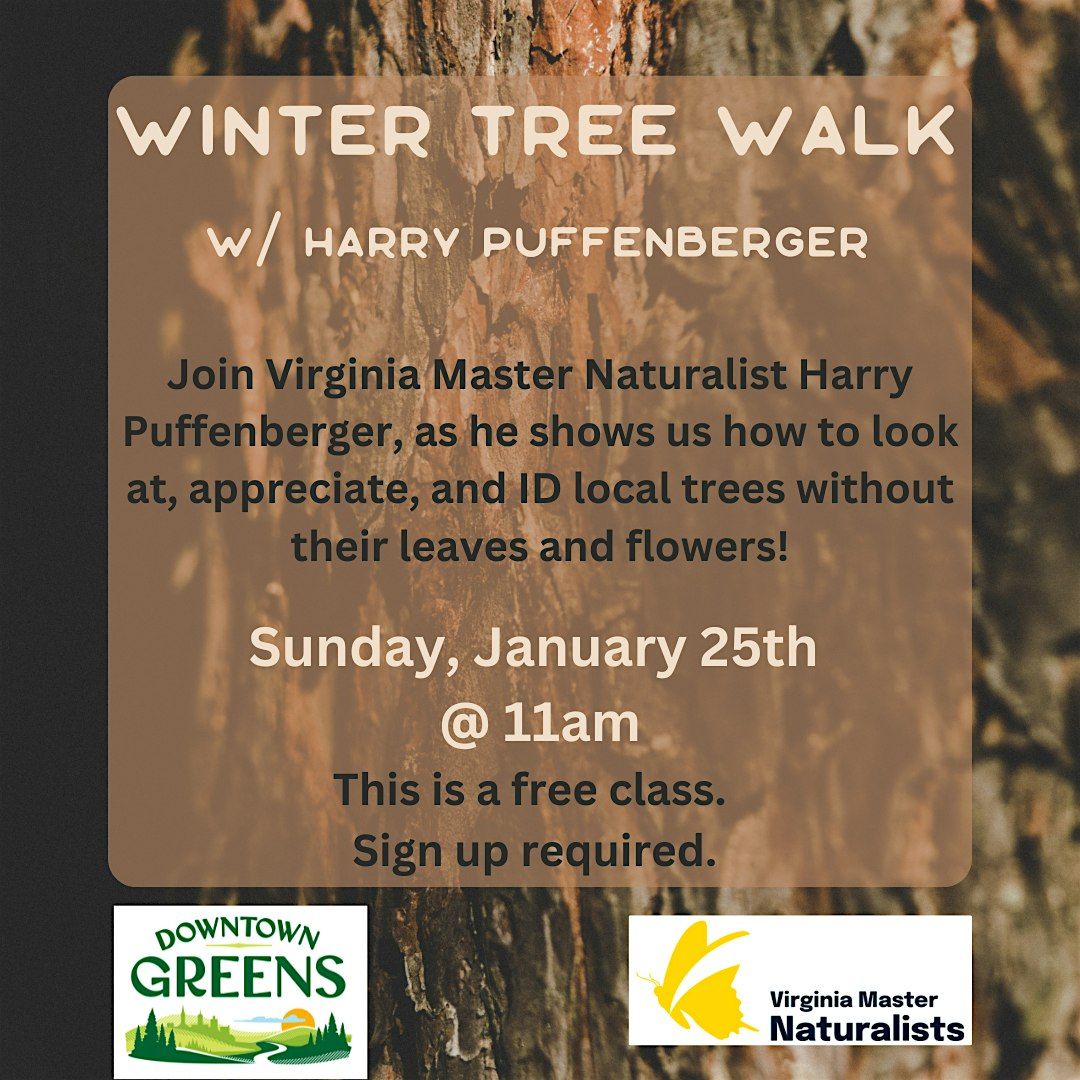 Tree Walk w\/ Master Naturalist Harry Puffenberger