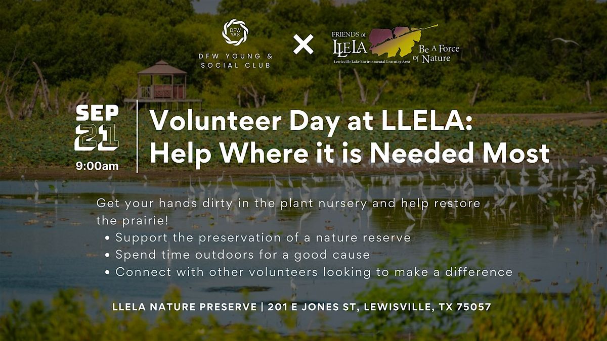 Volunteering at LLELA: Help Where It\u2019s Needed Most
