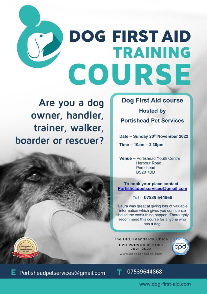 Dog First Aid Course Portishead Youth Centre November 20 2022 dog-first-aid-course-portishead-youth-centre-november-20-2022