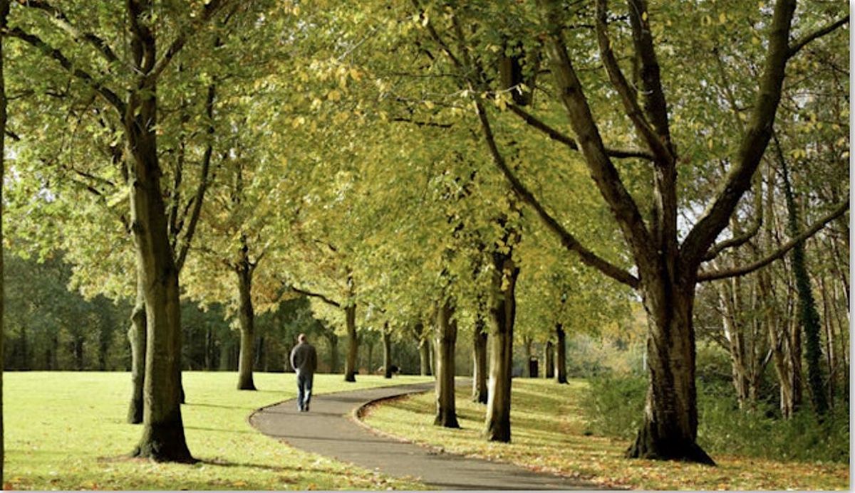 Seasonal Somatics Series - December 2025