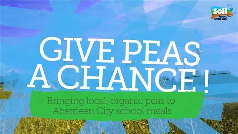 Give Peas a Chance!: Celebrating local, organic peas on school menus