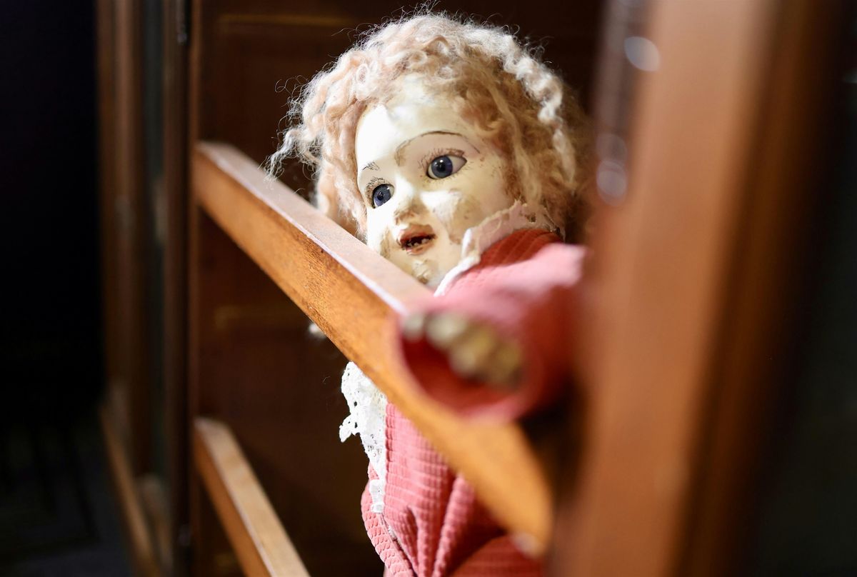 Wunderkammer - Dublin City Council Bram Stoker Festival