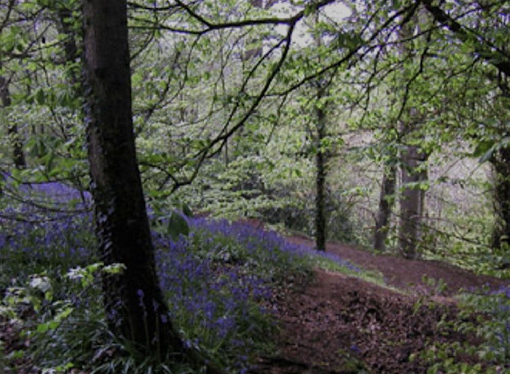 Seasonal Somatics Series - November 2025