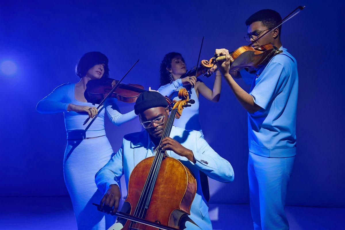 chamber series - testimonies