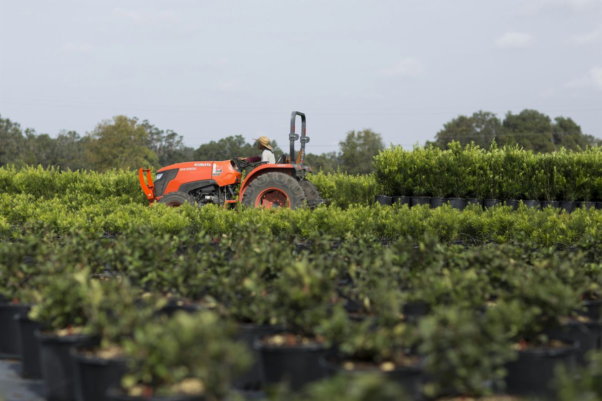 Private\/ Ag Tree Crop \/ Row Crop Applicator Pesticide Prep. Training