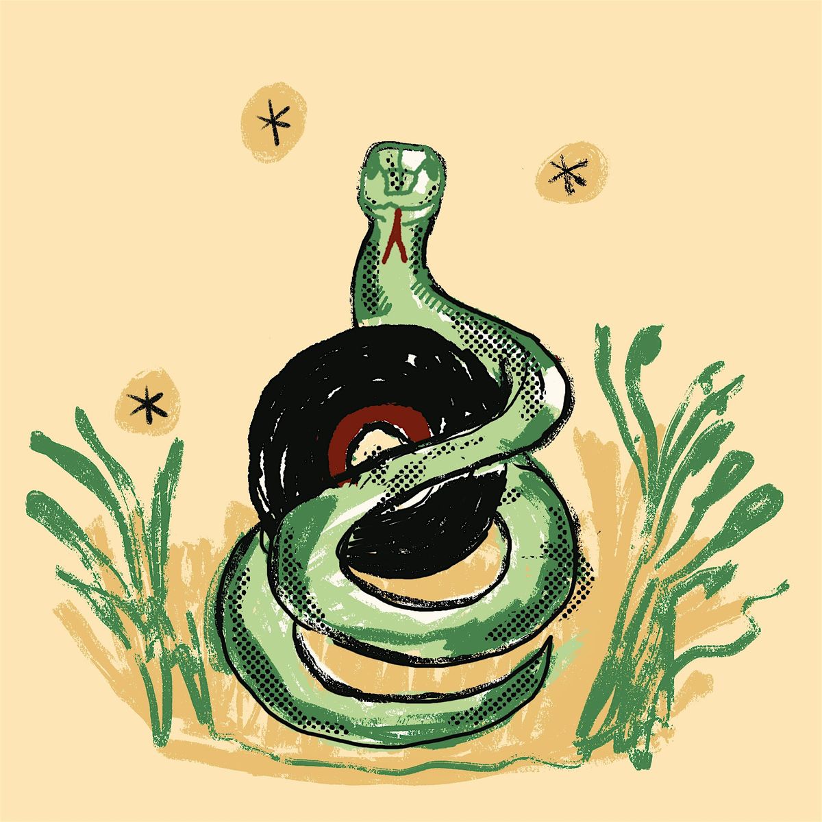 Thread Snake comes to Gosport