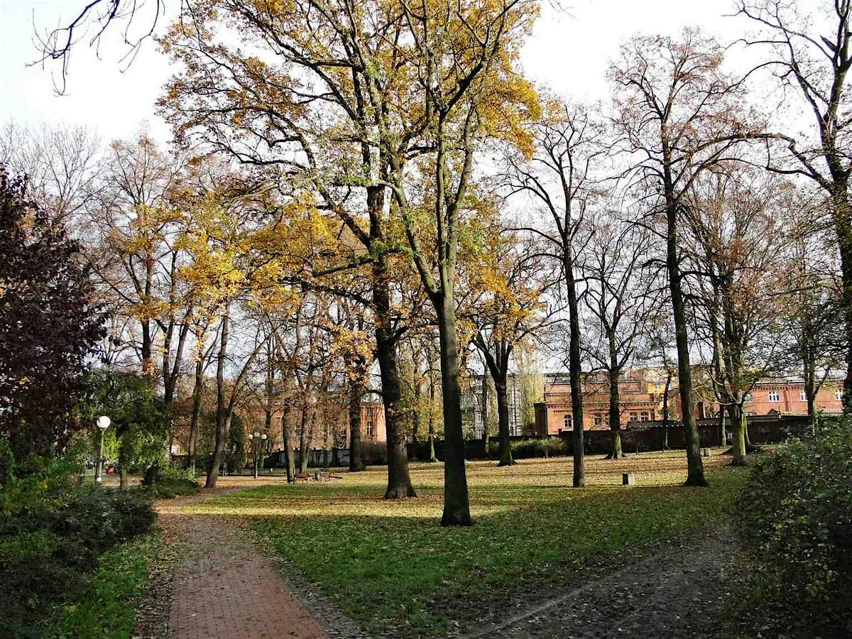 Szczecin Audio Tour: Portside Legends and Hidden Sculptures Trail