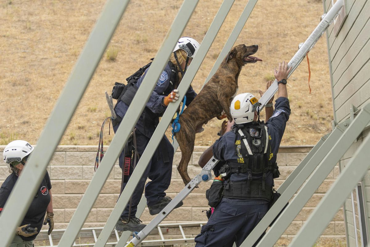 Elevate Your Partnership Workshop