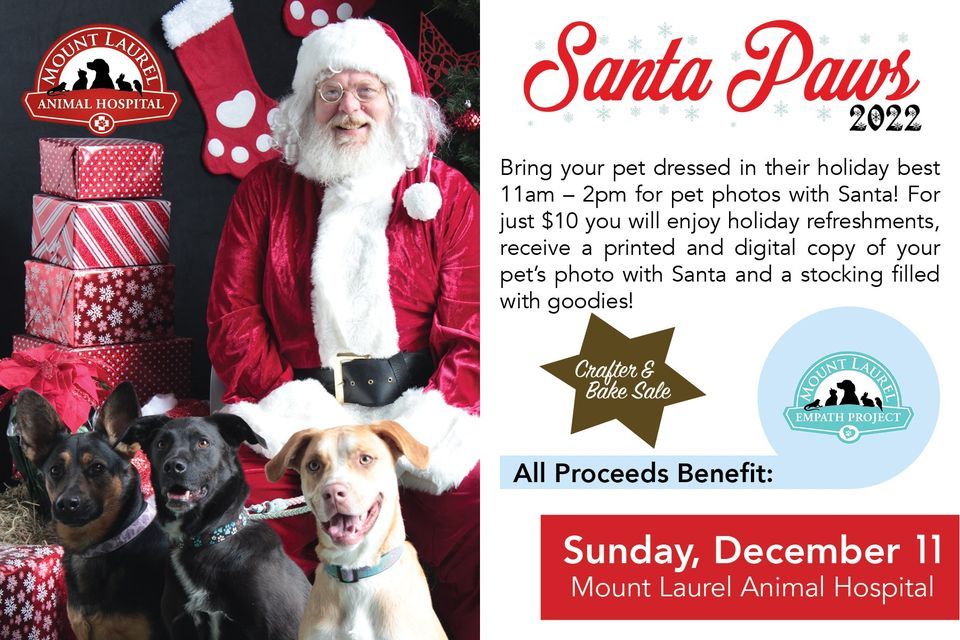 Santa Paws Mount Laurel Animal Hospital December 11, 2022