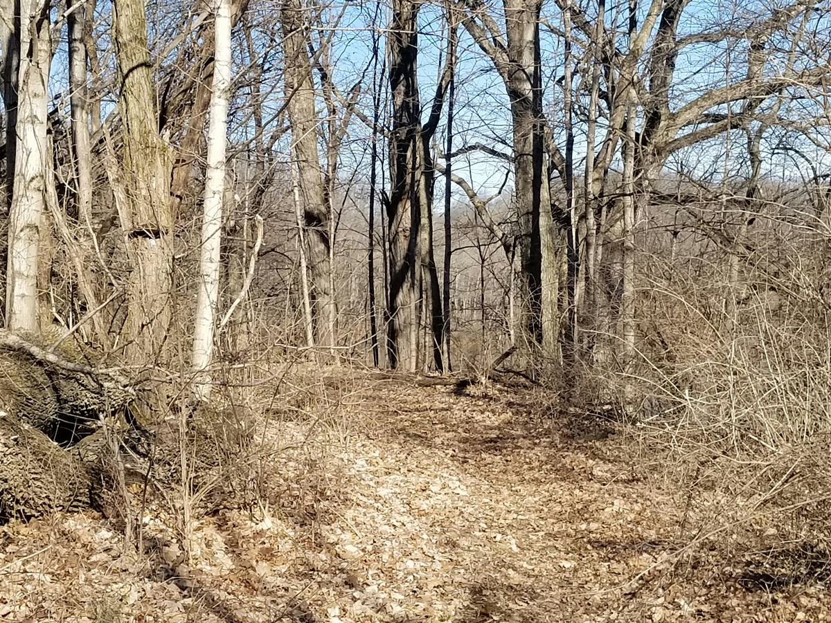 Ohio River Chapter Hike - September