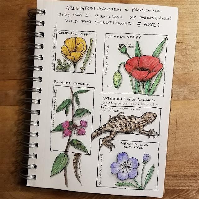 Nature Around Us: Nature Journal Writing and Drawing Workshop