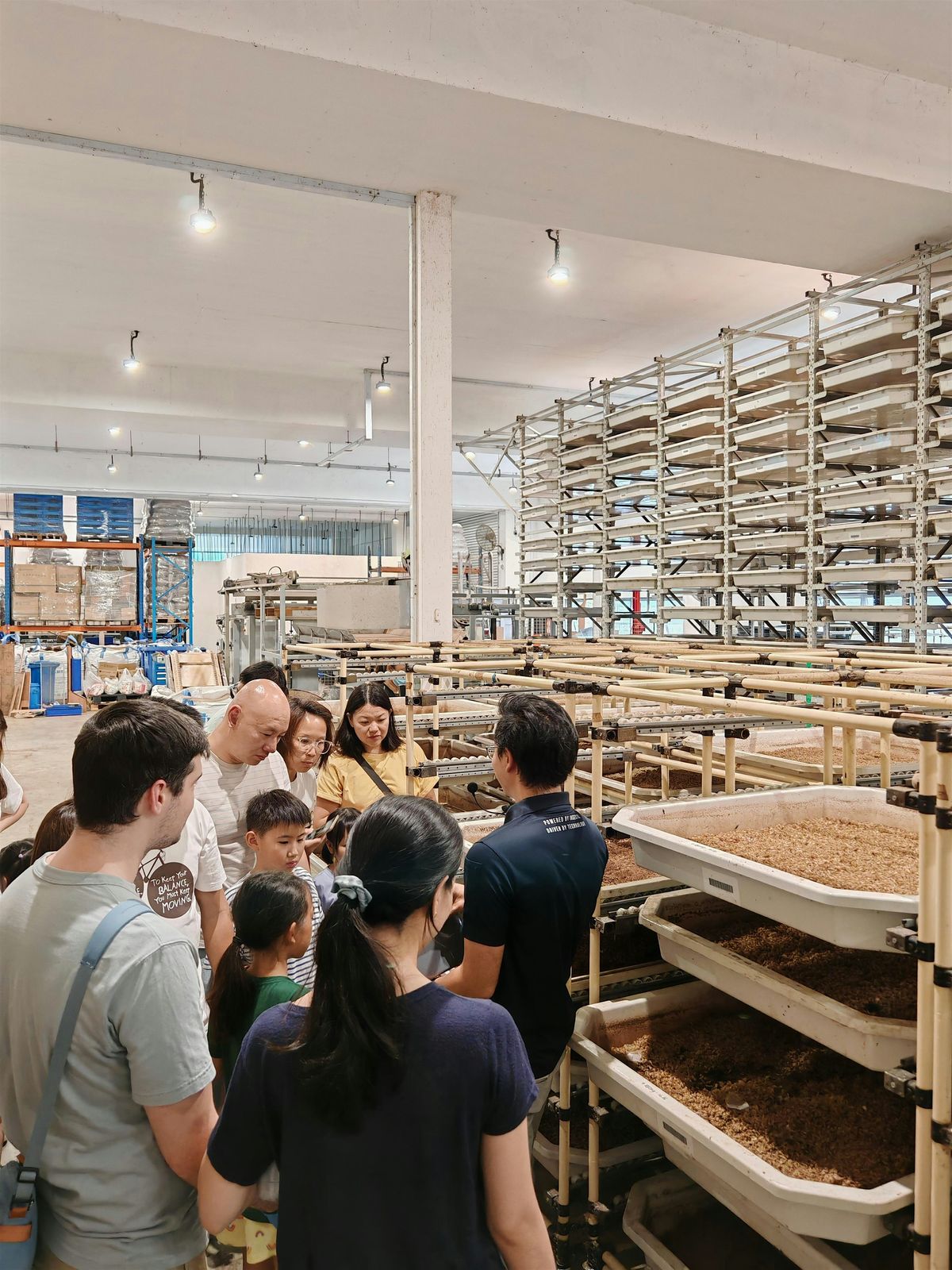 Amt Insect Farm 90mins Insect Farm Tour: From Food Waste to Wonder! at 15 Tuas Ave 18A ...