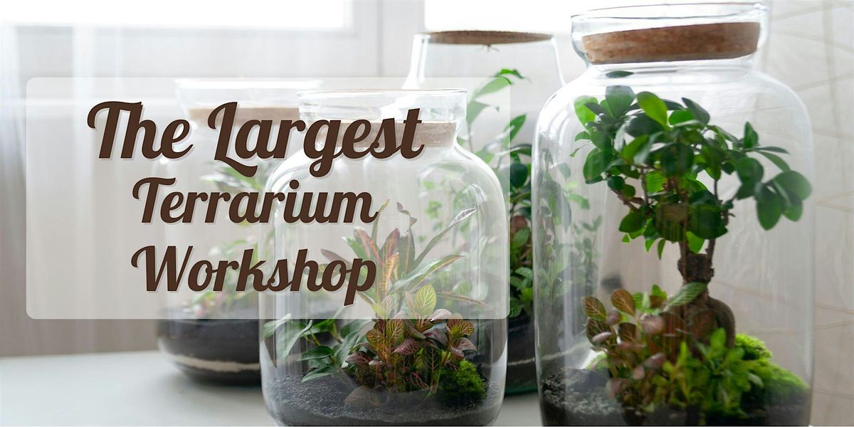 Largest Terrarium Workshop at Incendiary Brewing