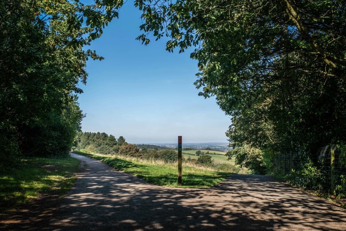 Four mile walk at Hartshill Hayes Country Park