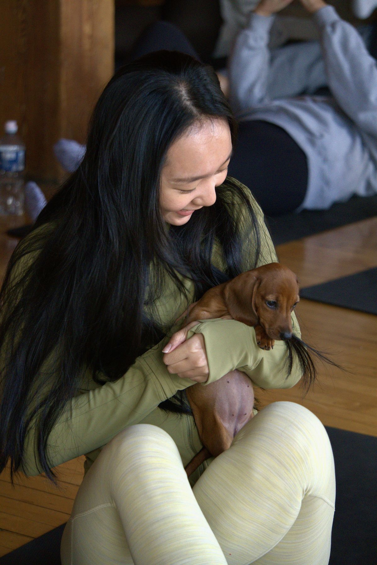 Puppy Yoga New York