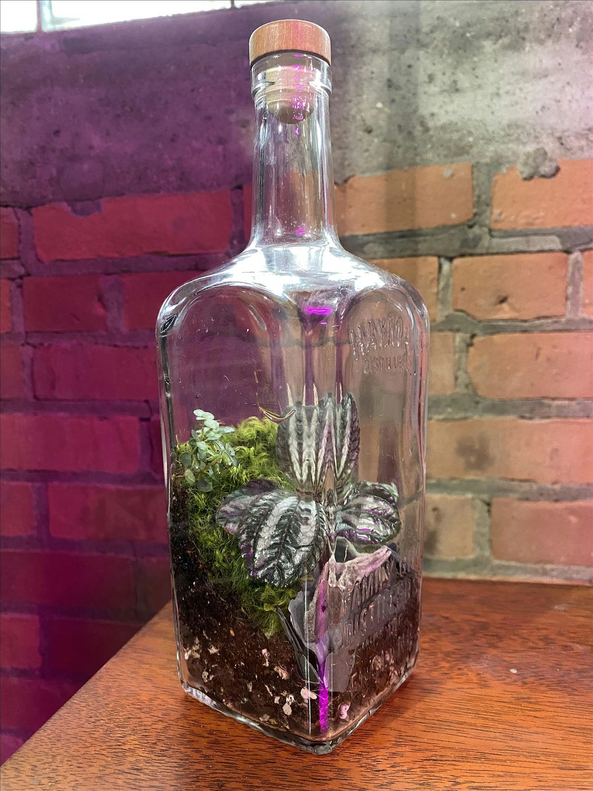 Boozy Bottle Terrarium Workshop