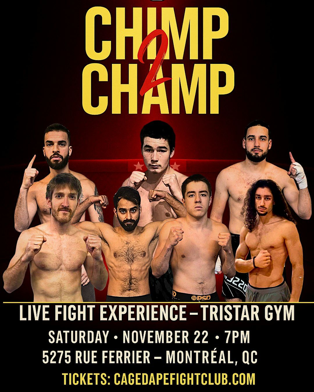 Chimp 2 Champ Fight Night