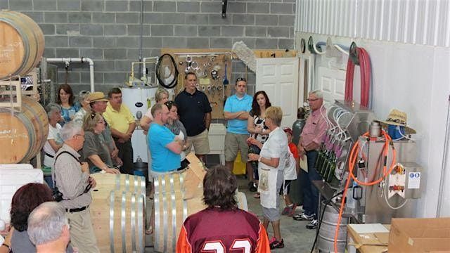 Winery & Vineyard Tour + Tasting