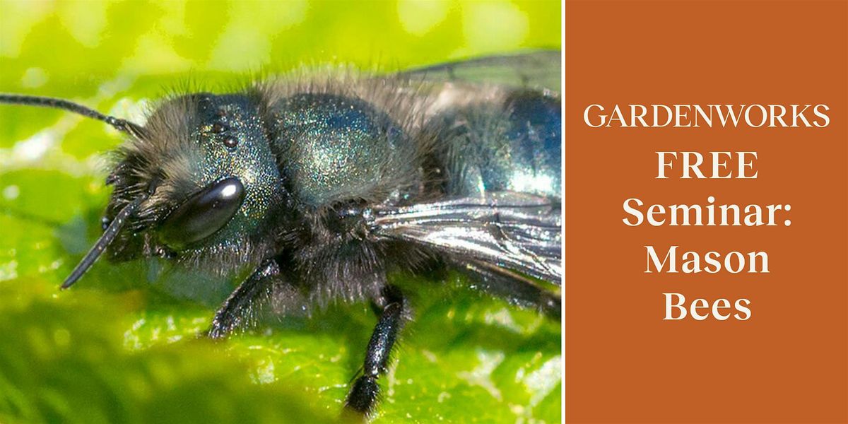 FREE Seminar: Mason Bees at GARDENWORKS Burnaby-Lougheed