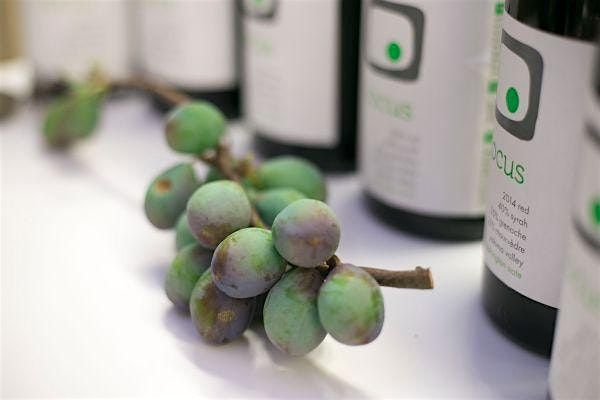 Wine Tasting with Locus Wines