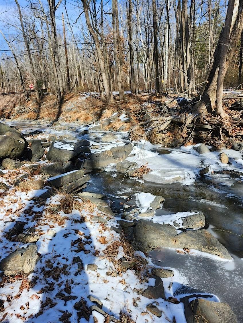 Talk of the Sourlands: Forest Restoration and Water Quality