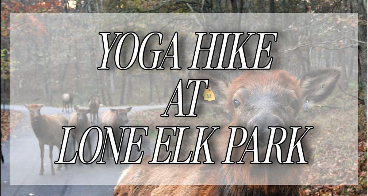 Yoga Hike at Lone Elk Park