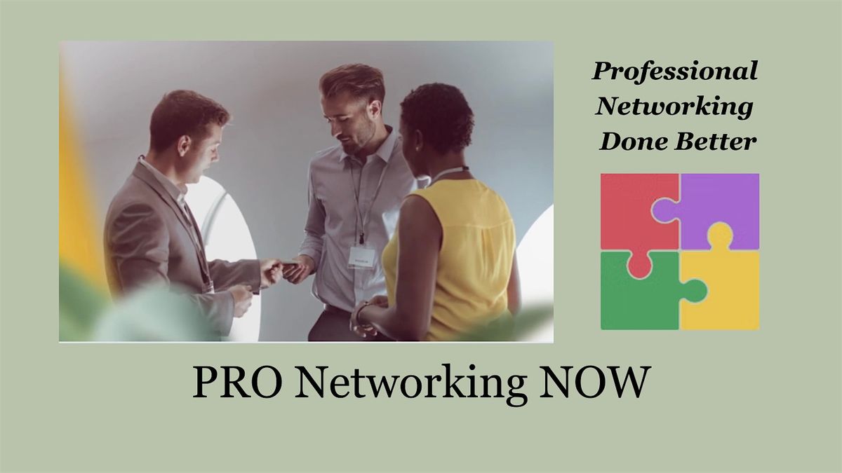 PRO Networking NOW - Come Visit!