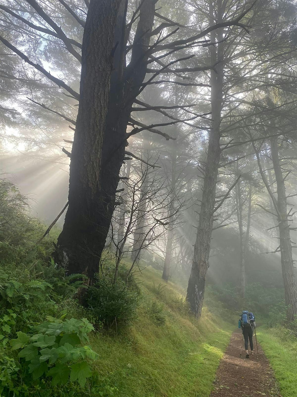 2-Night Intro To Backpacking Adventure at Point Reyes National Seashore
