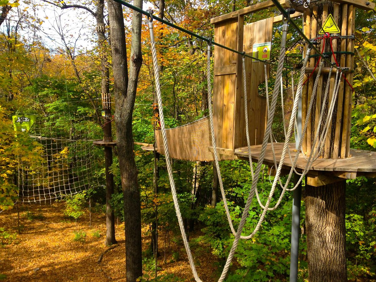 Learn More: Fall Events at Go Ape Bemis Woods South