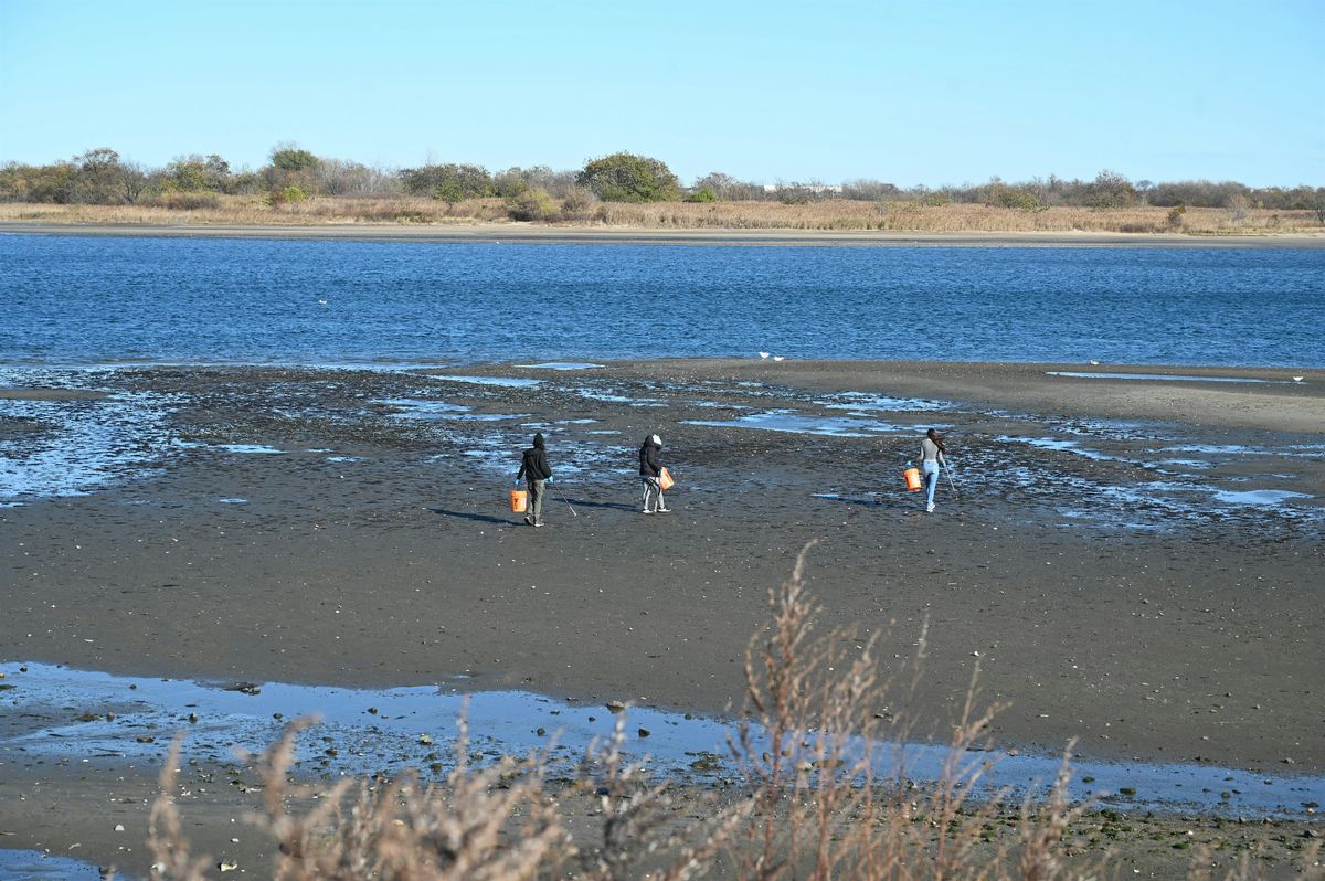 Give Thanks with Service Shoreline Cleanup