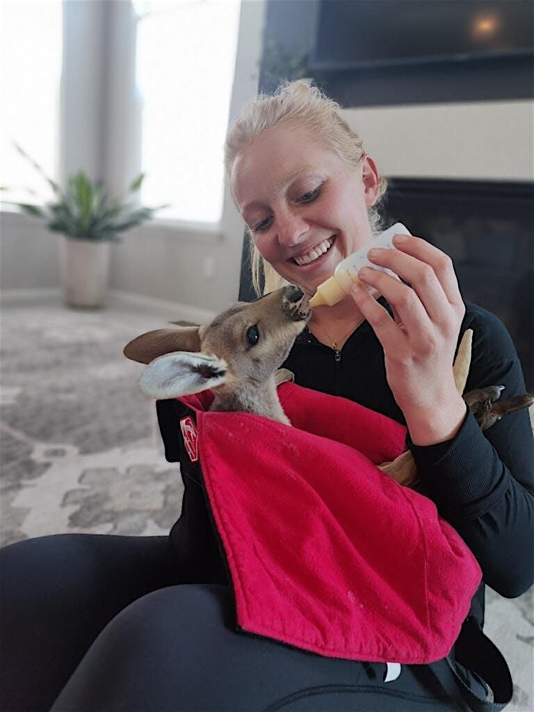 Baby Kangaroo Bottle Feeding