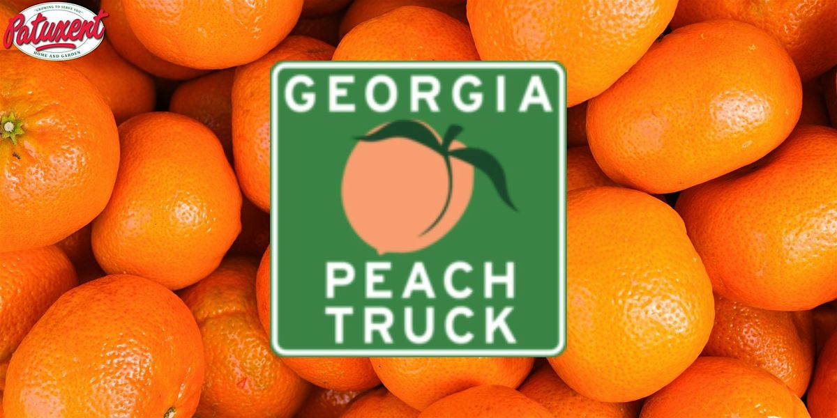 Georgia Peach Truck: Winter Road Trip