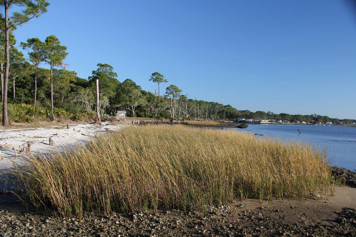 Living Shorelines Workshop